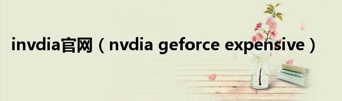 invdia官网(nvdia geforce expensive)