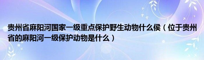 贵州省麻阳河国家一级重点保护野生动物什么侯(位于贵州省的麻阳河一级保护动物是什么)