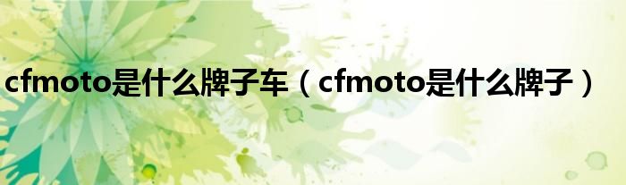 cfmoto是什么牌子车(cfmoto是什么牌子)