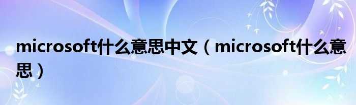 microsoft什么意思中文(microsoft什么意思)