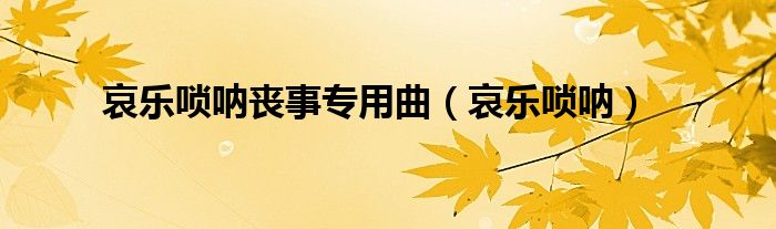 哀乐唢呐丧事专用曲(哀乐唢呐)