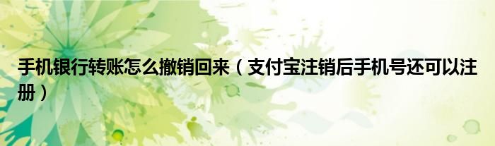 手机银行转账怎么撤销回来(支付宝注销后手机号还可以注册)