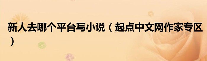 新人去哪个平台写小说(起点中文网作家专区)
