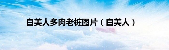 白美人多肉老桩图片(白美人)