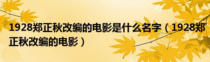 1928郑正秋改编的电影是什么名字(1928郑正秋改编的电影)