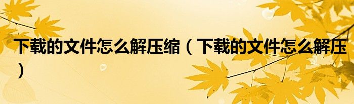 下载的文件怎么解压缩(下载的文件怎么解压)