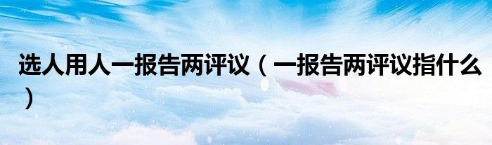 选人用人一报告两评议(一报告两评议指什么)