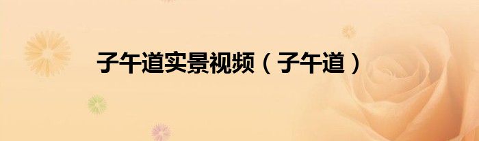 子午道实景视频（子午道）