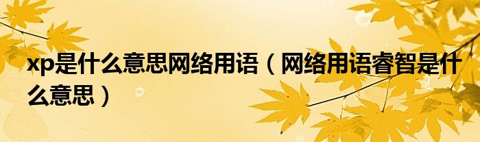 xp是什么意思网络用语(网络用语睿智是什么意思)
