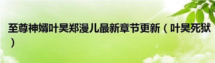 至尊神婿叶昊郑漫儿最新章节更新(叶昊死狱)