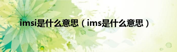 imsi是什么意思(ims是什么意思)