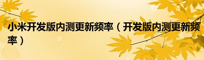 小米开发版内测更新频率(开发版内测更新频率)