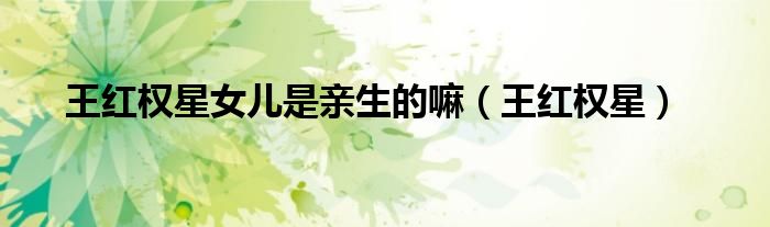 王红权星女儿是亲生的嘛(王红权星)