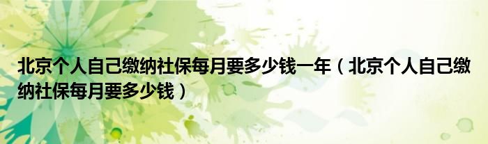 北京个人自己缴纳社保每月要多少钱一年(北京个人自己缴纳社保每月要多少钱)