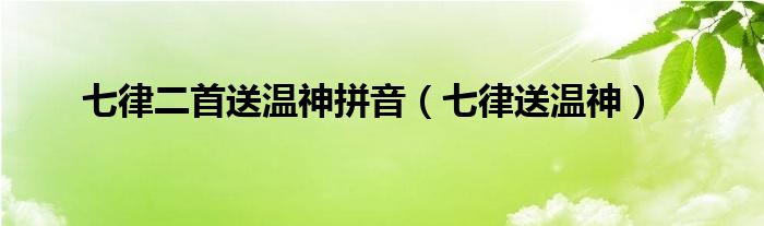 七律二首送温神拼音(七律送温神)