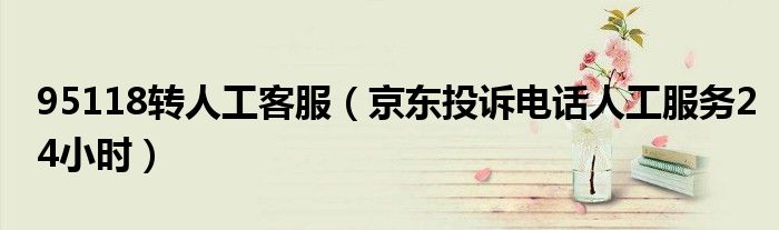 95118转人工客服(京东投诉电话人工服务24小时)