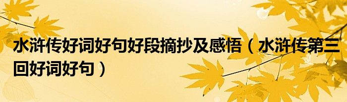 水浒传好词好句好段摘抄及感悟(水浒传第三回好词好句)