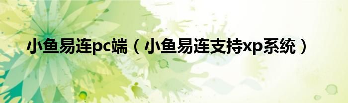 小鱼易连pc端(小鱼易连支持xp系统)