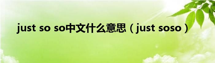 just so so中文什么意思(just soso)