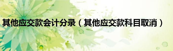 其他应交款会计分录(其他应交款科目取消)
