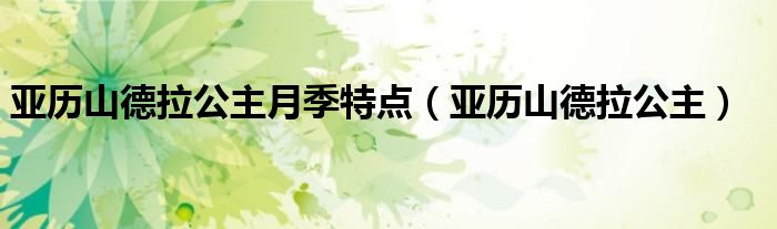 亚历山德拉公主月季特点(亚历山德拉公主)