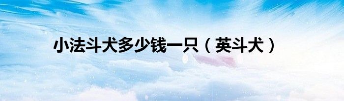 小法斗犬多少钱一只(英斗犬)