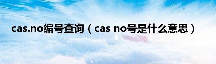 cas.no编号查询(cas no号是什么意思)
