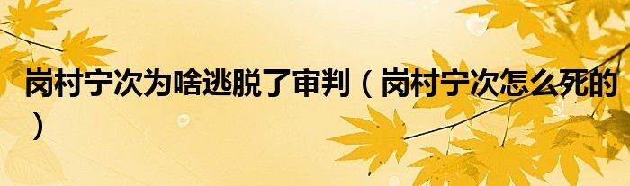 岗村宁次为啥逃脱了审判(岗村宁次怎么死的)