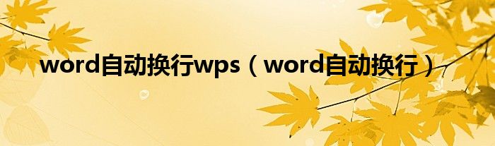 word自动换行wps(word自动换行)