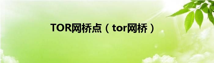 TOR网桥点(tor网桥)