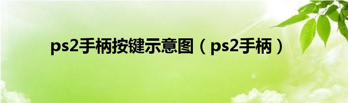 ps2手柄按键示意图(ps2手柄)