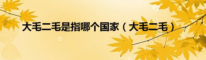 大毛二毛是指哪个国家(大毛二毛)