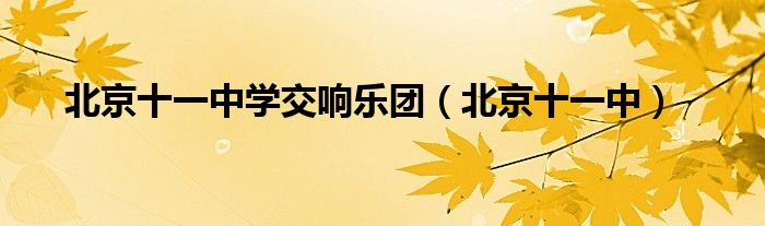 北京十一中学交响乐团(北京十一中)