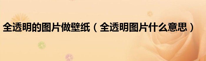 全透明的图片做壁纸(全透明图片什么意思)