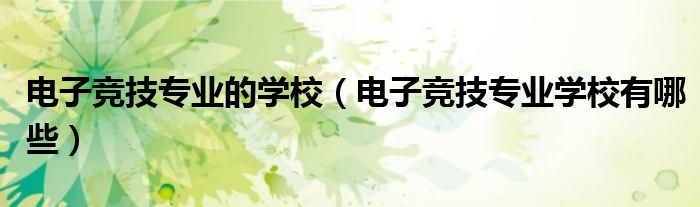 电子竞技专业的学校(电子竞技专业学校有哪些)