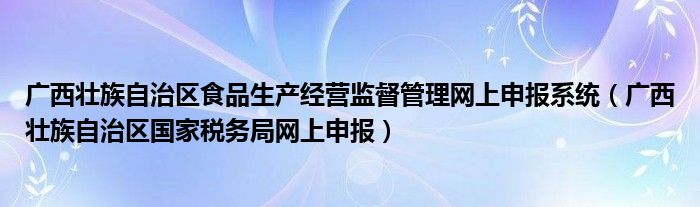 广西壮族自治区食品生产经营监督管理网上申报系统(广西壮族自治区国家税务局网上申报)