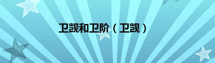 卫觊和卫阶（卫觊）
