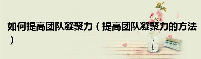 如何提高团队凝聚力(提高团队凝聚力的方法)