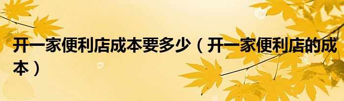 开一家便利店成本要多少(开一家便利店的成本)