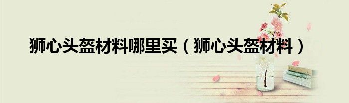 狮心头盔材料哪里买(狮心头盔材料)