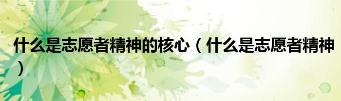 什么是志愿者精神的核心(什么是志愿者精神)