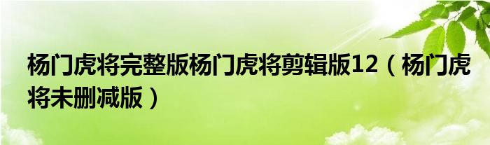 杨门虎将完整版杨门虎将剪辑版12(杨门虎将未删减版)