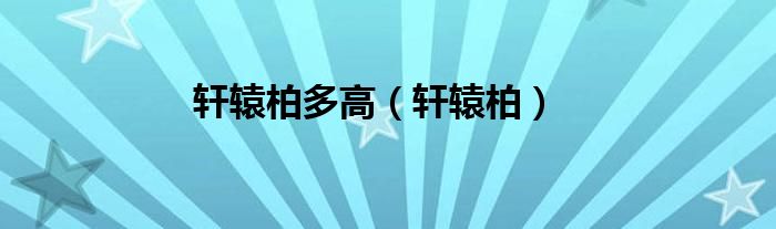 轩辕柏多高（轩辕柏）