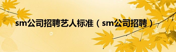 sm公司招聘艺人标准（sm公司招聘）