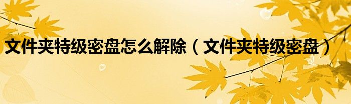 文件夹特级密盘怎么解除(文件夹特级密盘)