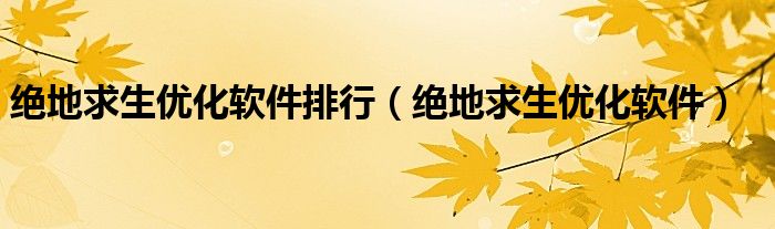 绝地求生优化软件排行(绝地求生优化软件)