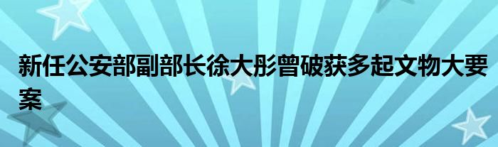 新任公安部副部长徐大彤曾破获多起文物大要案