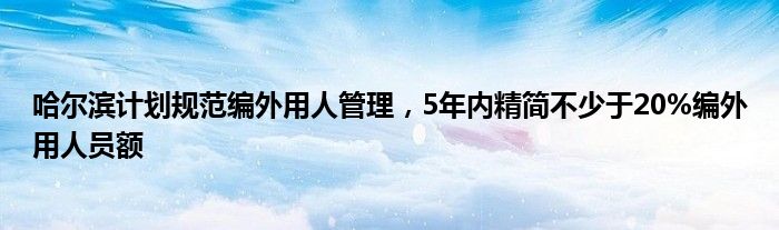 哈尔滨计划规范编外用人管理,5年内精简不少于20%编外用人员额