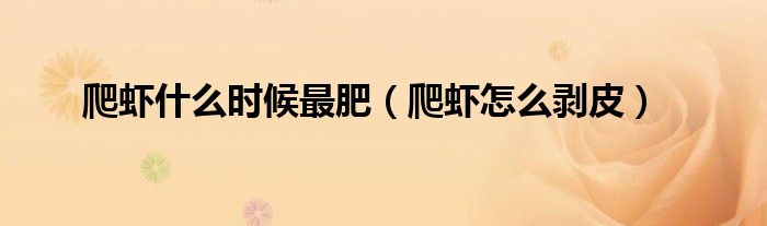 爬虾什么时候最肥(爬虾怎么剥皮)