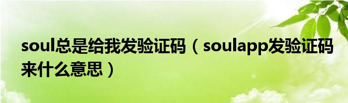 soul总是给我发验证码(soulapp发验证码来什么意思)